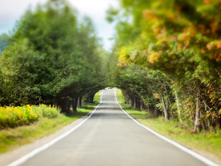 The Road to Come The Road to Come