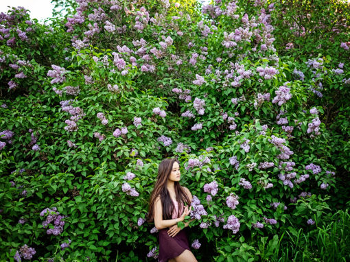 Eleanor in Spring Blooms Eleanor in Spring Blooms