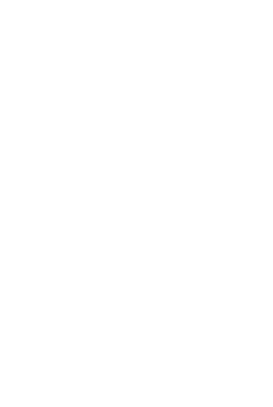 SnL-Logo